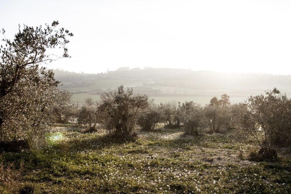 Masia Cal Millas - Turisme Rural Castellfullit de Riubregos 外观 照片