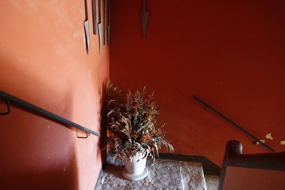 Masia Cal Millas - Turisme Rural Castellfullit de Riubregos 外观 照片